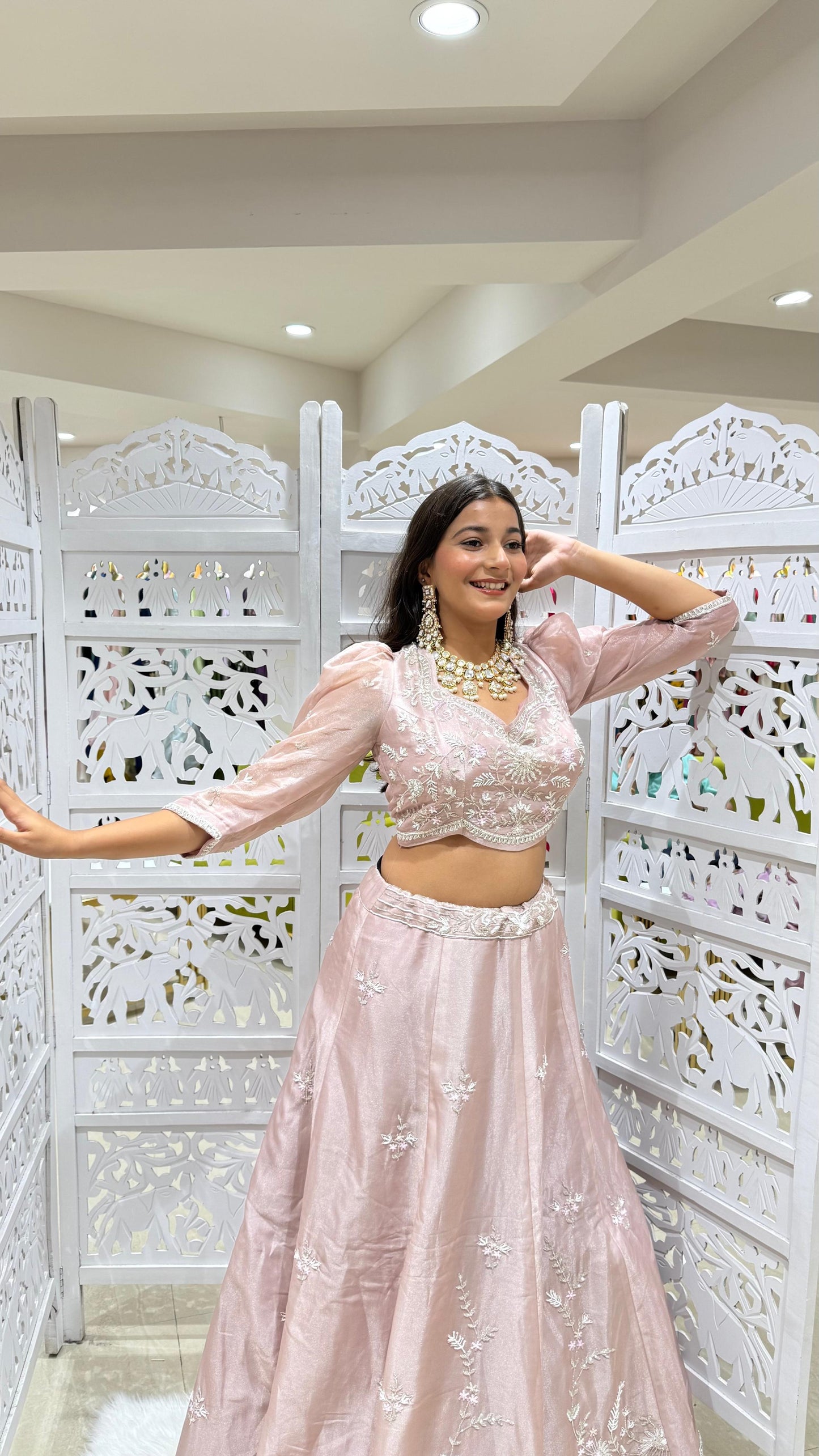 Lehenga Sequence Kathdaana jardoshi motiwork
