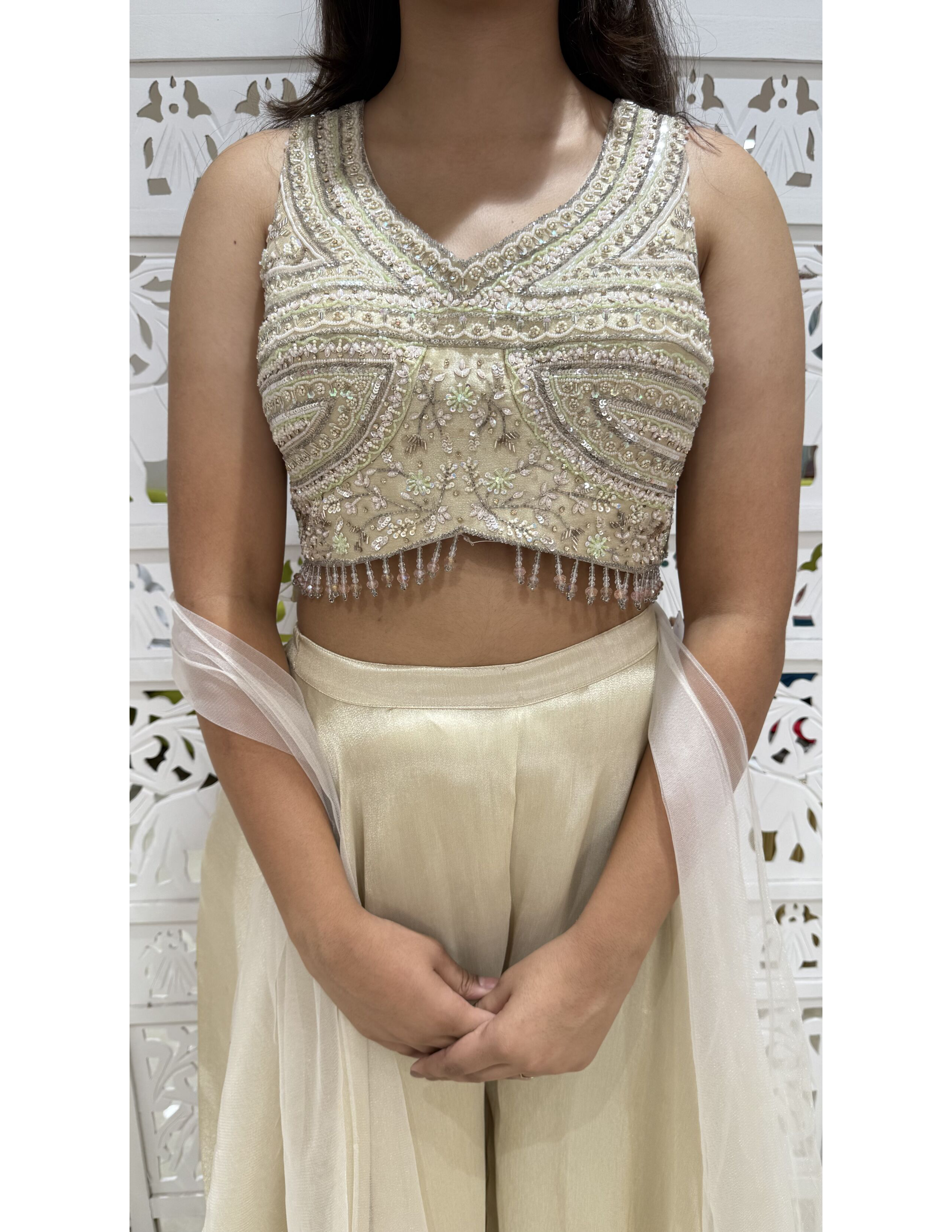 Shimmer Cut Dana, Moti-Work, Sequence Work Crop Top