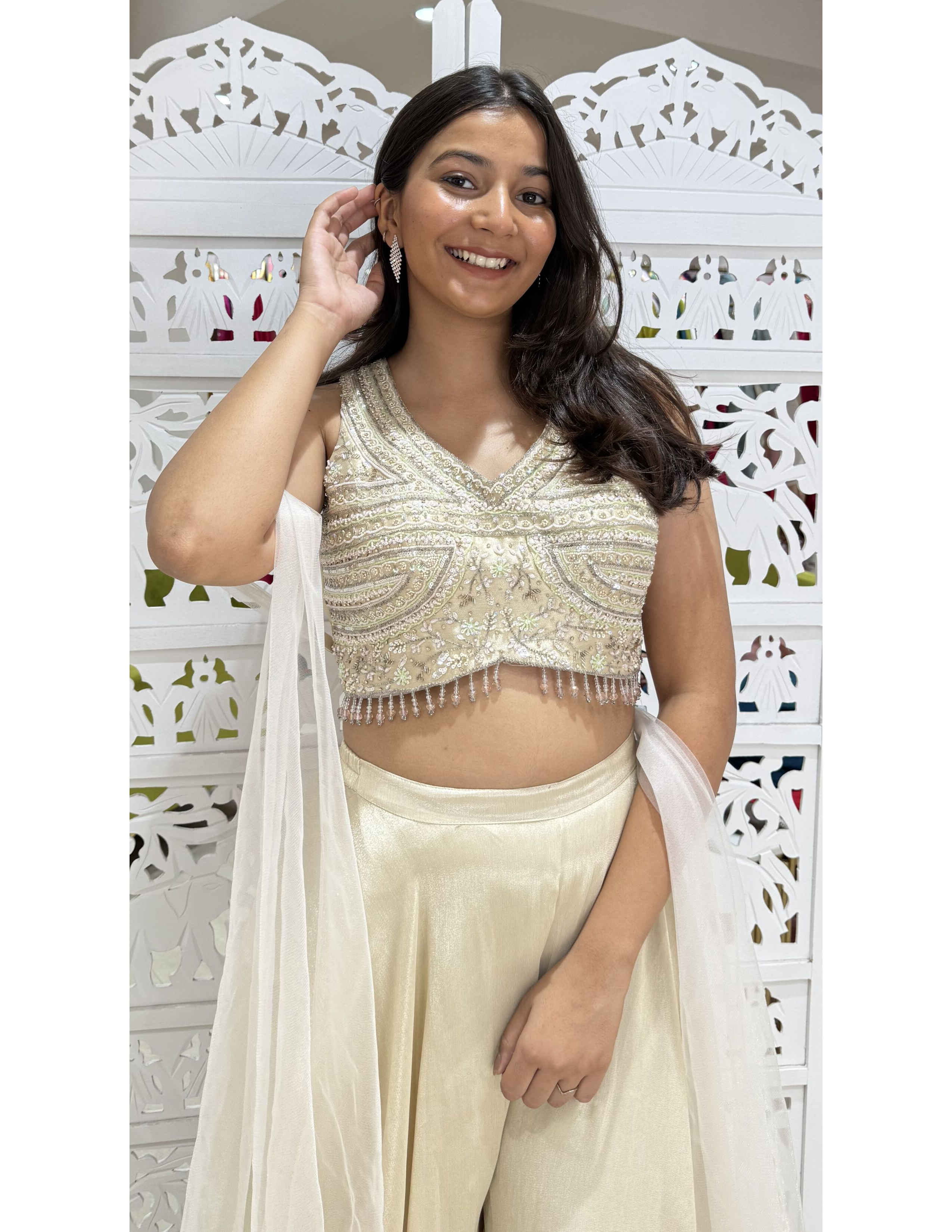 Shimmer Cut Dana, Moti-Work, Sequence Work Crop Top