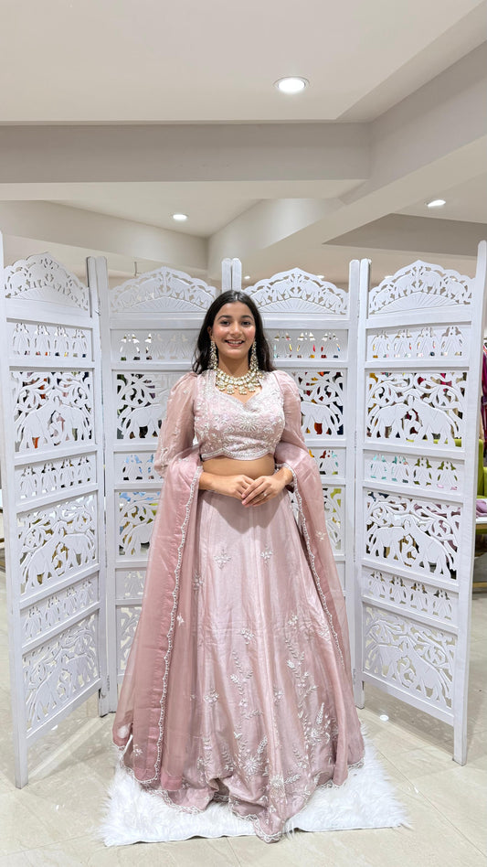 Lehenga Sequence Kathdaana jardoshi motiwork